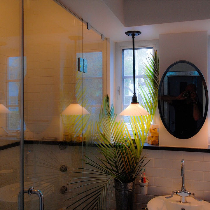 palm leaves flow between light fixture and oval mirror on bathroom wall, with shower glowing softly to the left