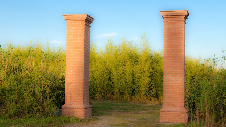 Franco-Maria-Ricci-estate-11OCT12-2011