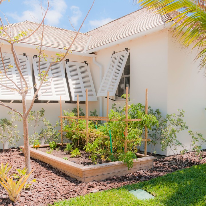 Schooner-Bay-11APR16-8053